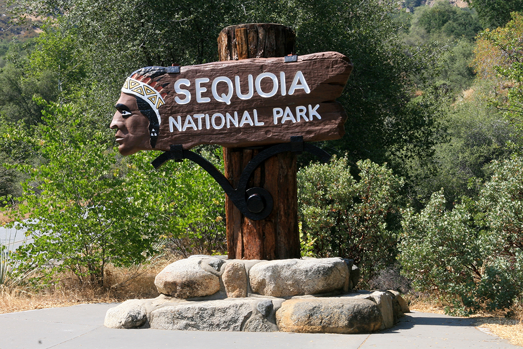 07-01 - 03.JPG - Sequoia National Park, CA